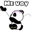 Ositos Panda UwU 22
