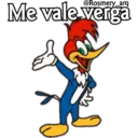 Pájaro loco by RosmeryH 4