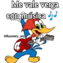Pájaro loco by RosmeryH 15