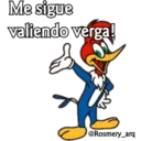 Pájaro loco by RosmeryH 24