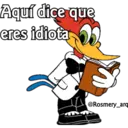 Pájaro loco by RosmeryH 23