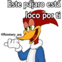 Pájaro loco by RosmeryH 8