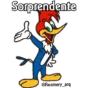 Pájaro loco by RosmeryH 1