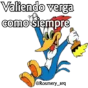 Pájaro loco by RosmeryH 14