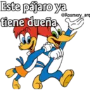 Pájaro loco by RosmeryH 12