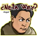 ¿NETA WEY?
abygail