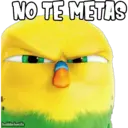 NO TE METAS
haddderbonilla