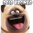 SOLO BROMEO
haddderbonilla