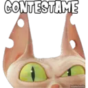 CONTESTAME
haddderbonilla