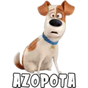 haddderbonilla
AZOPOTA