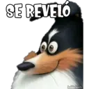 SE REVELO
haddderbonilla