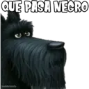 QUE PASA NEGRO
haddderbonilla