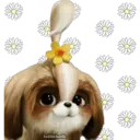 haddderbonilla