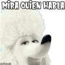 MIRA QUIEN HABLA
haddderbonilla