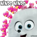 NINDO NINDO
haddderbonilla