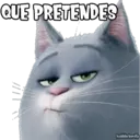 QUE PRETENDES
haddderbonilla