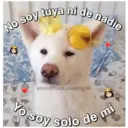 Perritos☆♡ 4 20
