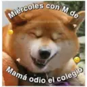 Perritos☆♡ 4 5