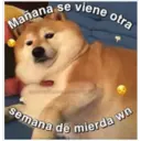 Perritos☆♡ 4 26