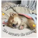 Perritos☆♡ 4 29