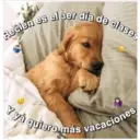 Perritos☆♡ 4 16