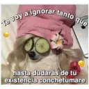 Perritos☆♡ 4 21