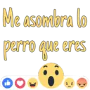 Reacciones 17