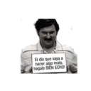 Berracos 1