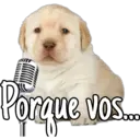 Porque vos.
bo