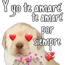 yo te amaré
te amaré
por
siempre
