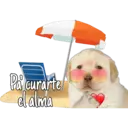 Pa curarte
el alma