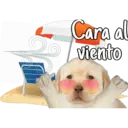 Cara al
viento
