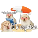 *todo el mar caribe*
Table coqueteas