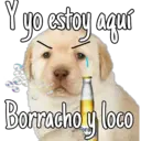 yo estoy aquí
Borracho y loco
