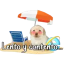 Lento y contento...