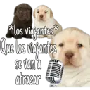 *los viajantes
Que los viejanties
se van a
atrasar
mmm