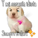 mi corazón idiota
Siempre brillara