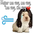 Mejor me voy, me voy,
the
me voy, me voy
g