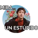 MIRA...
UN ESTÚPIDO