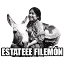 QMriangoby
ESTATEEE FILEMÓN