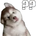 Perritos UwU 28
