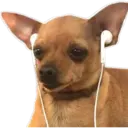 Perritos UwU 13