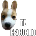 Perritos UwU 24