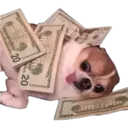Perritos UwU 26