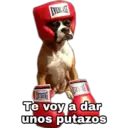 Perritos UwU 14