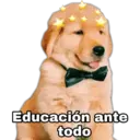 Perritos UwU 19