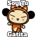 PUCCA 22