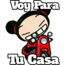 PUCCA 15