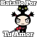 PUCCA 12