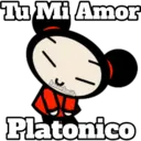 PUCCA 11